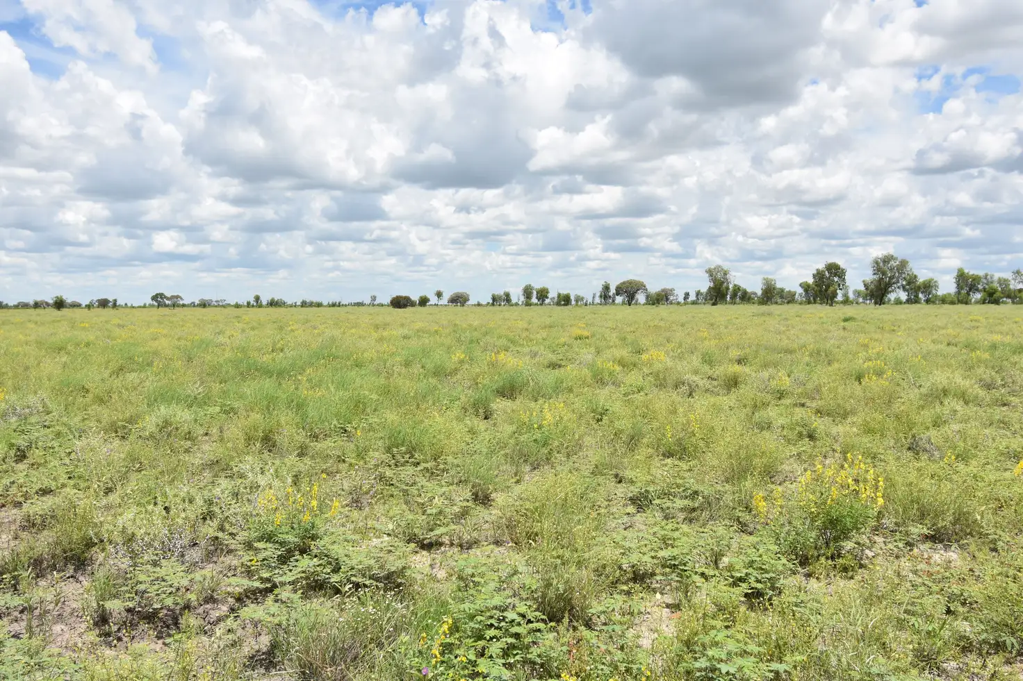 Main view of Homely land listing, 6400 Barcaldine Aramac Road, Aramac QLD 4726