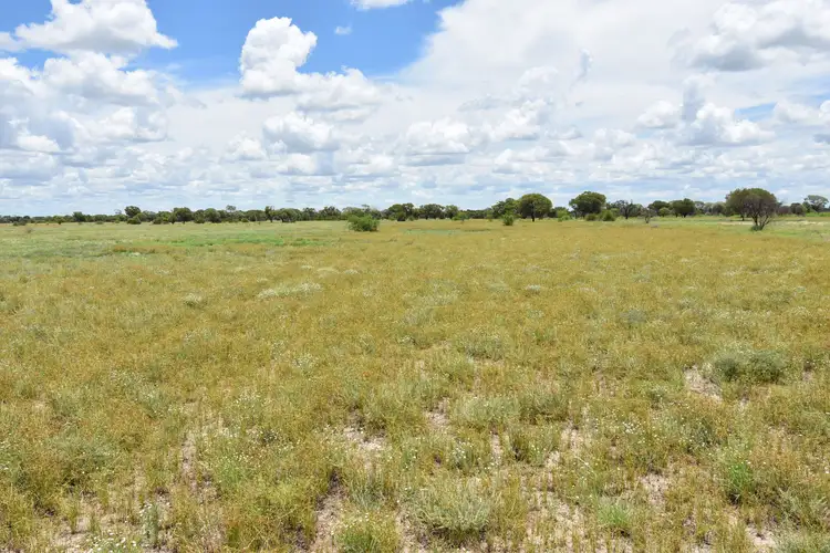 Third view of Homely land listing, 6400 Barcaldine Aramac Road, Aramac QLD 4726