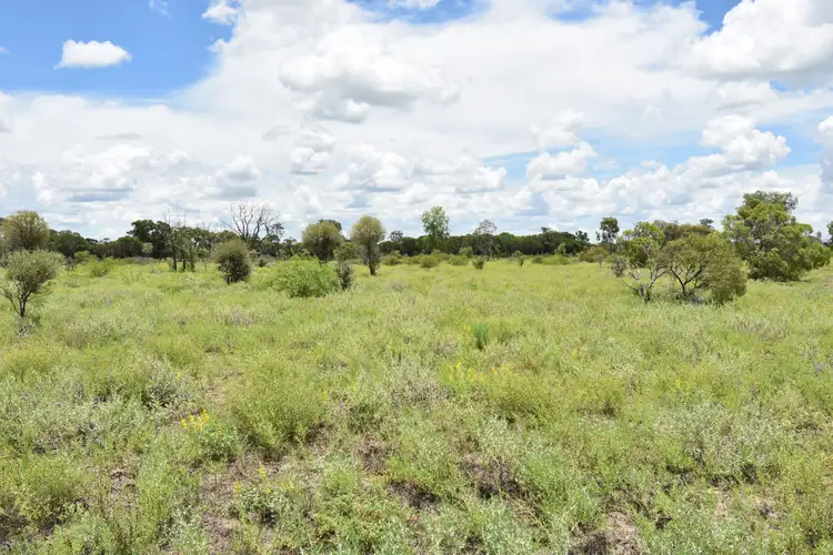 Sixth view of Homely land listing, 6400 Barcaldine Aramac Road, Aramac QLD 4726