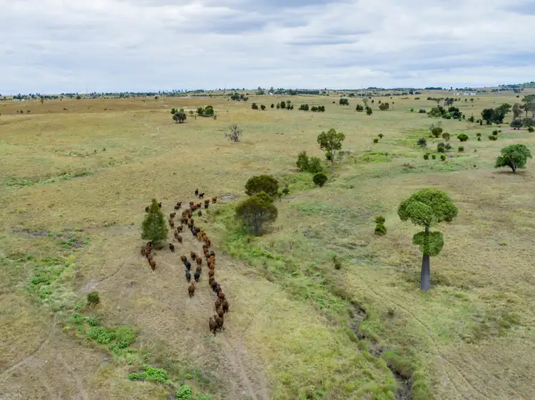 Seventh view of Homely rural property listing, 2842 Bundi Road, Bundi QLD 4419