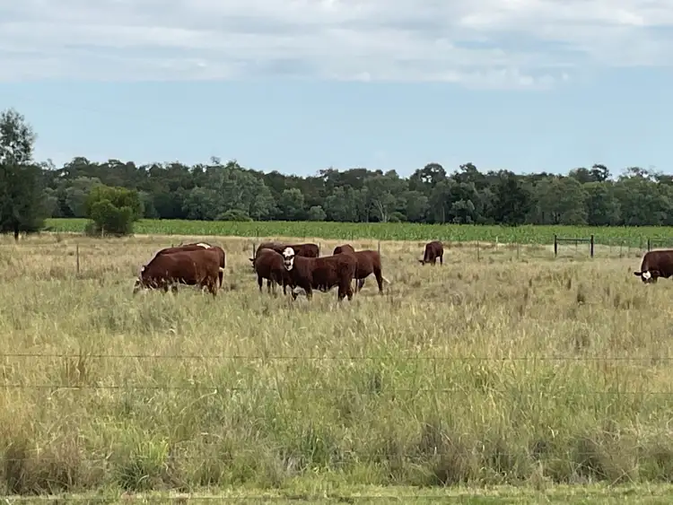 Second view of Homely rural property listing, 579 Hannaford North Road, Hannaford QLD 4406