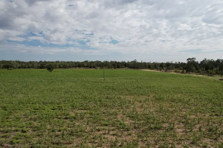Third view of Homely rural property listing, 579 Hannaford North Road, Hannaford QLD 4406
