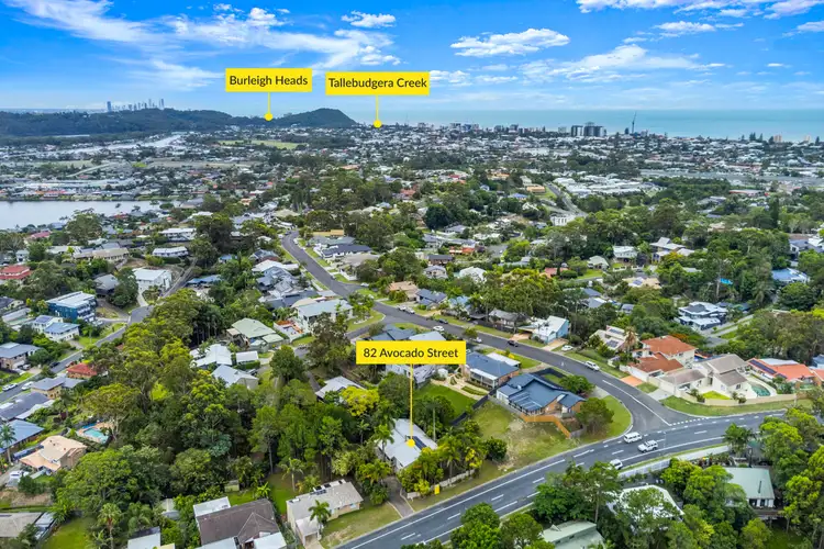 82 Avocado Street, Elanora QLD 4221
