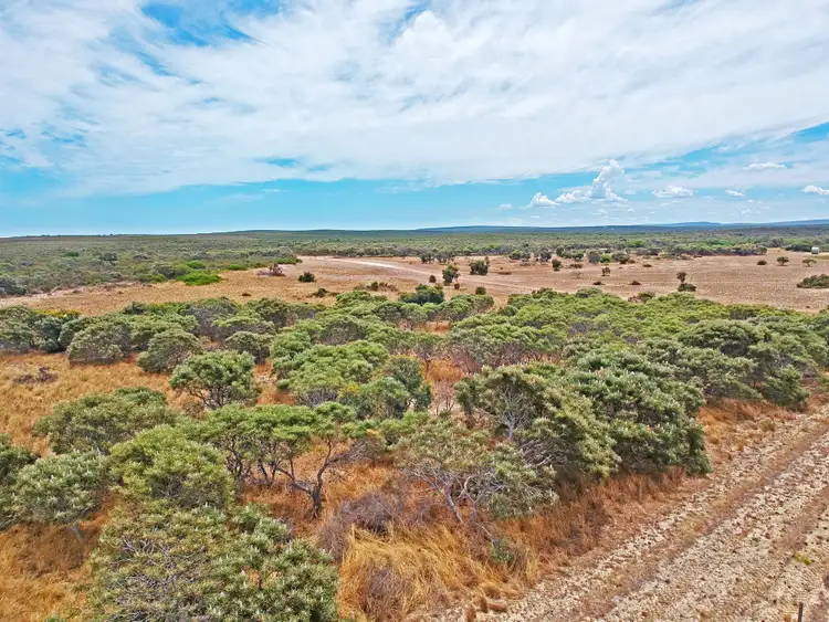 Fifth view of Homely land listing, Lot 239 Zendora Road, Jurien Bay WA 6516