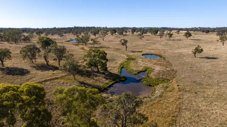 Third view of Homely rural property listing, 579 Wellington Vale Road, Deepwater NSW 2371