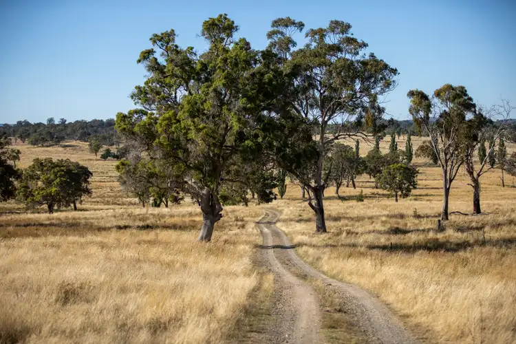 Fourth view of Homely rural property listing, 579 Wellington Vale Road, Deepwater NSW 2371