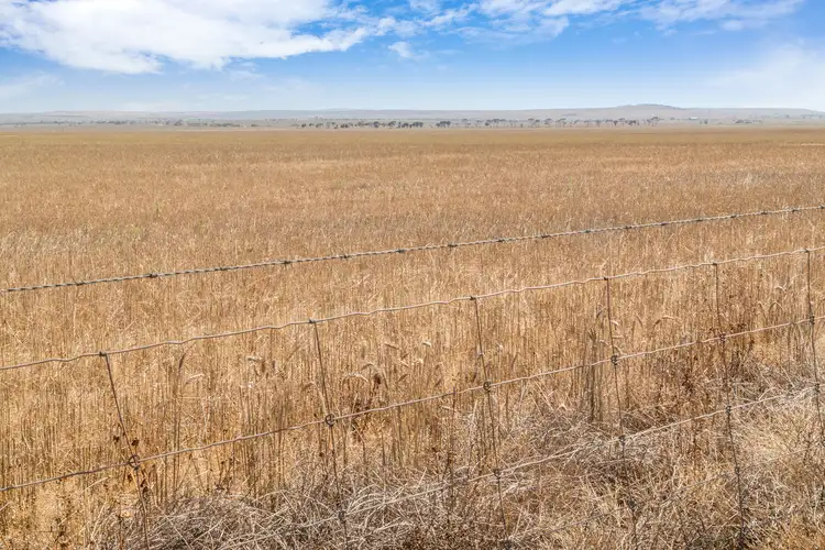 Fifth view of Homely rural property listing, 'Carslakes' Wheat Road, Beaufort SA 5550