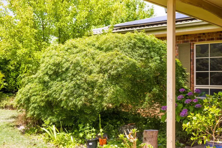 Fourth view of Homely house listing, 43 Bimberi Crescent, Palmerston ACT 2913