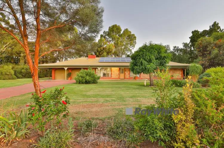 Main view of Homely house listing, 581 Morpung Avenue, Irymple VIC 3498
