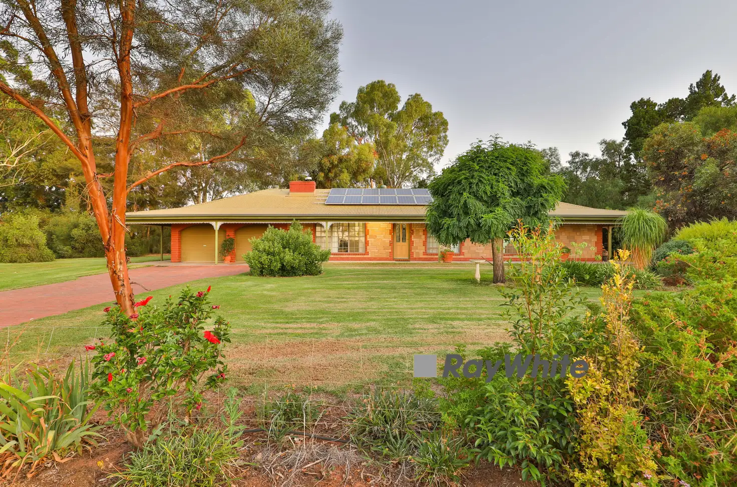 Main view of Homely house listing, 581 Morpung Avenue, Irymple VIC 3498