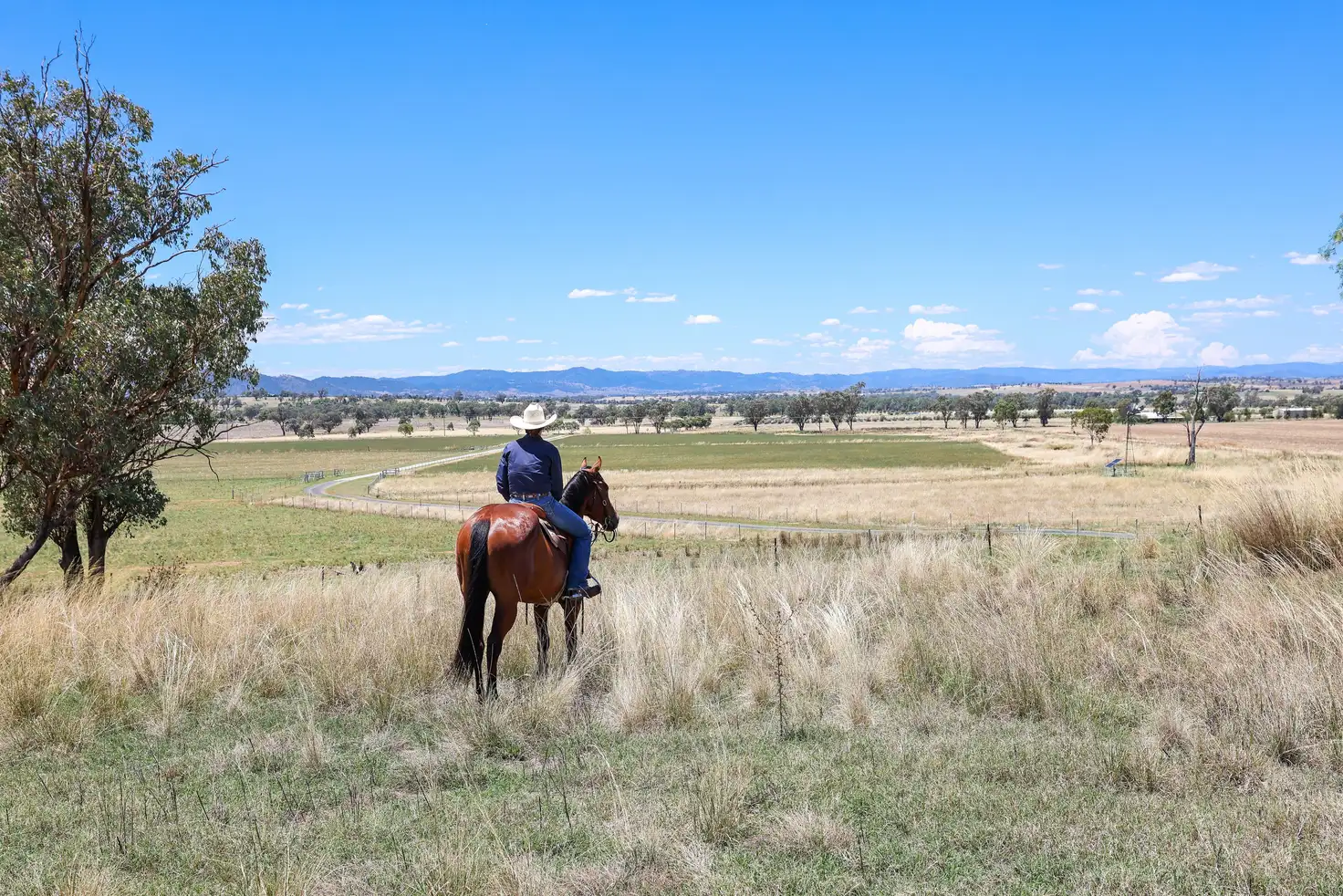 Main view of Homely rural property listing, 'Fairview' 404 Oxley Lane, Tamworth NSW 2340