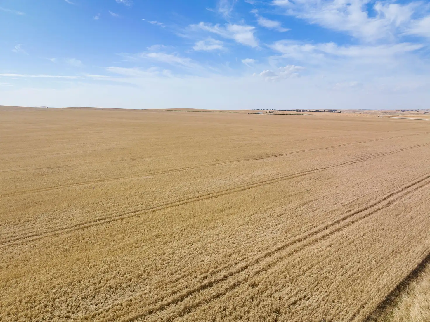 Main view of Homely rural property listing, 'Mutheralls' Gum Creek Road, Hanson SA 5417
