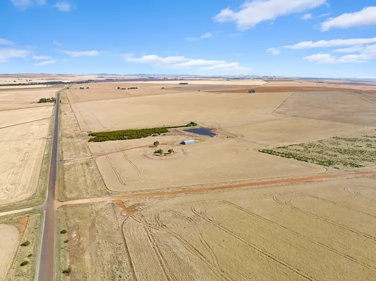 Fifth view of Homely rural property listing, 'Mutheralls' Gum Creek Road, Hanson SA 5417