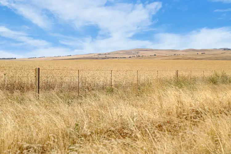 Seventh view of Homely rural property listing, 'Mutheralls' Gum Creek Road, Hanson SA 5417