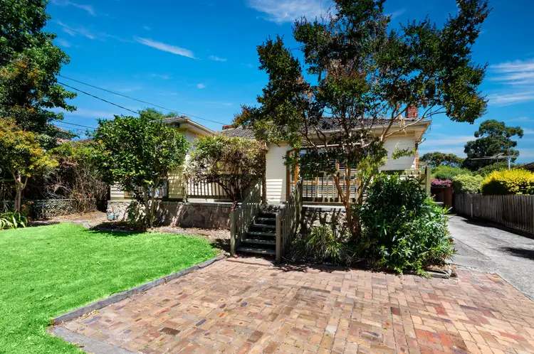 Main view of Homely house listing, 19 Ovens Street, Box Hill North VIC 3129