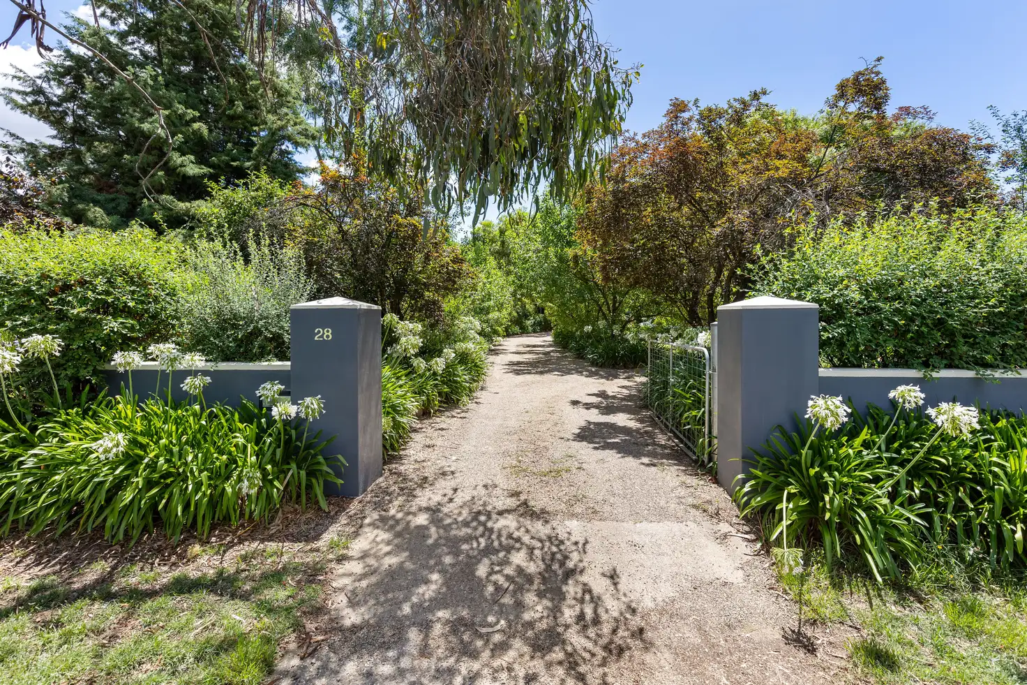 Main view of Homely house listing, 28 Mallee Road, Springvale NSW 2650