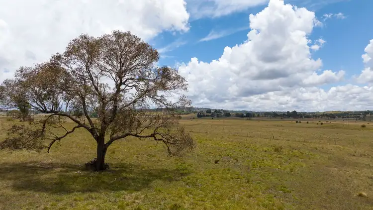 Sixth view of Homely rural property listing, 364 Long Swamp Road, Armidale NSW 2350
