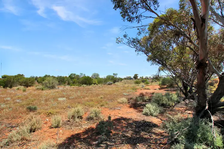 Third view of Homely rural property listing, 2 Centenary Road, Morgan SA 5320