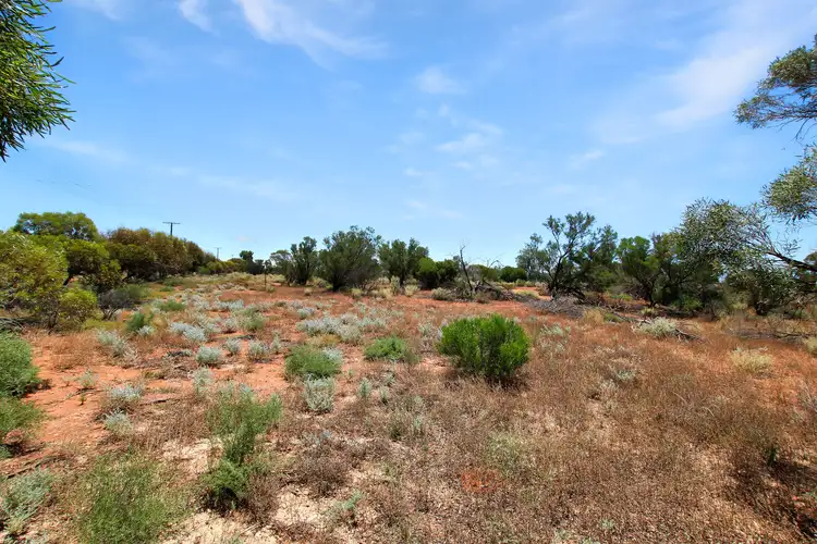 Seventh view of Homely rural property listing, 2 Centenary Road, Morgan SA 5320