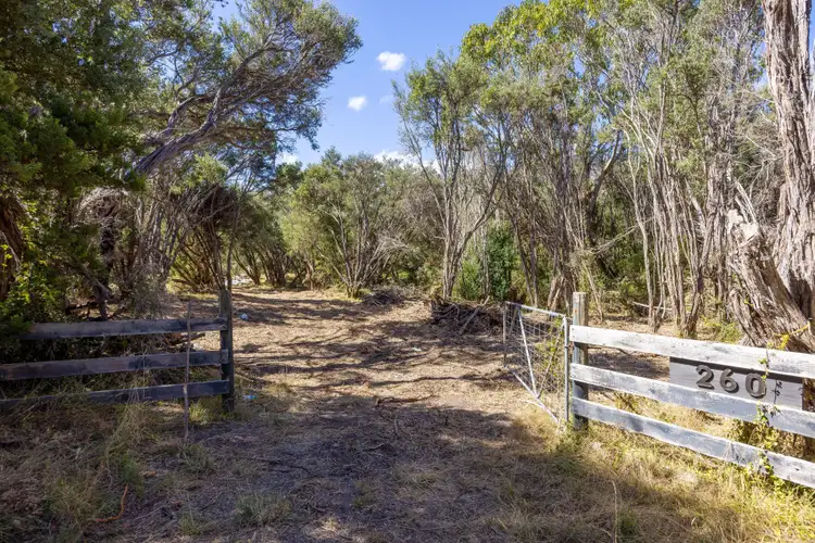 Fourth view of Homely land listing, 260 Sandy Road, Fingal VIC 3939