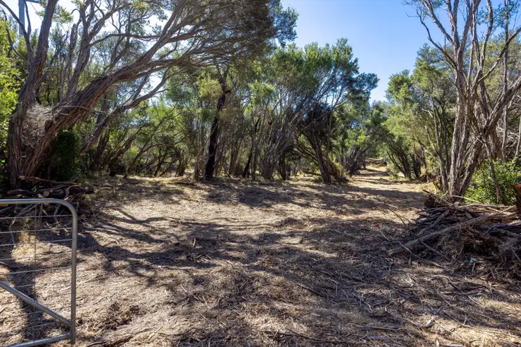 Fifth view of Homely land listing, 260 Sandy Road, Fingal VIC 3939