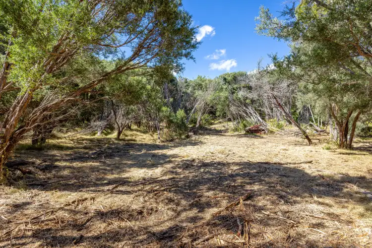 Sixth view of Homely land listing, 260 Sandy Road, Fingal VIC 3939