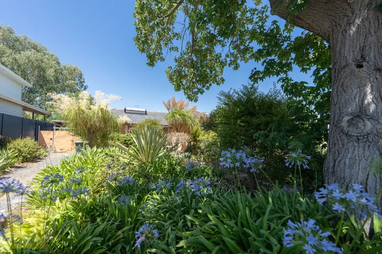 Fourth view of Homely house listing, 6 Quadea Way, Nollamara WA 6061