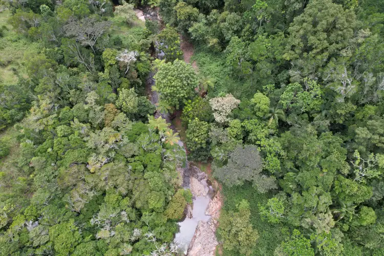 Fourth view of Homely rural property listing, 160 Bee Creek Road, Eungella QLD 4757