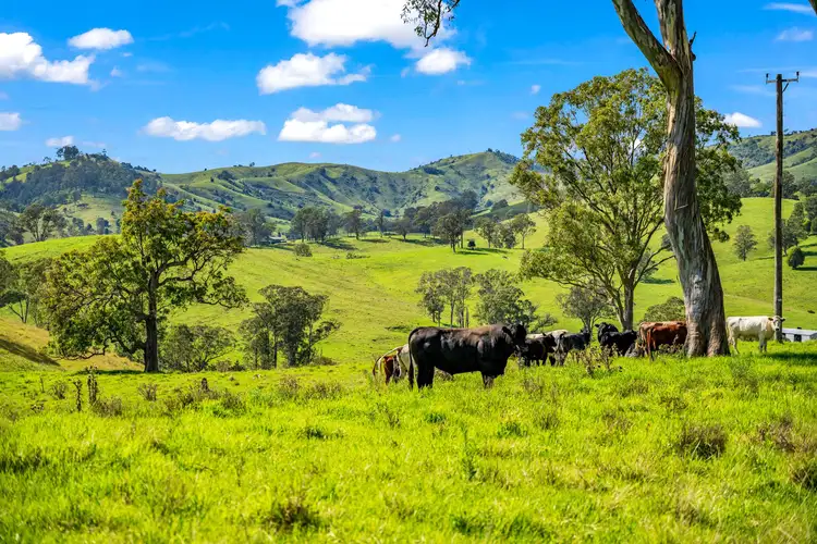 Main view of Homely rural property listing, 169 Pitlochry Road, Gloucester NSW 2422