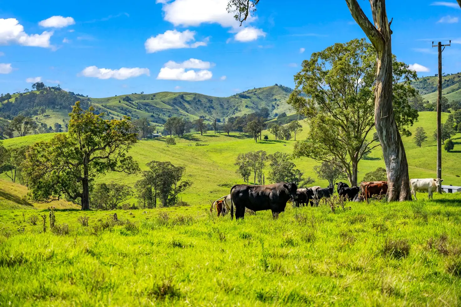 Main view of Homely rural property listing, 169 Pitlochry Road, Gloucester NSW 2422