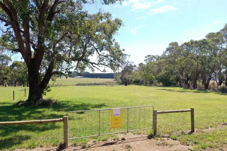 Main view of Homely land listing, 167 Curdies River Road, Timboon VIC 3268