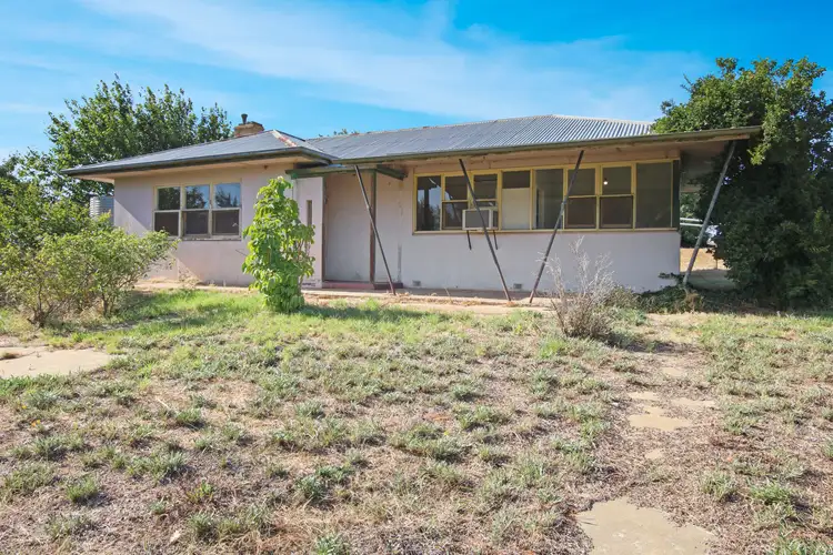 Main view of Homely house listing, 90 Middleton Road, Loxton SA 5333