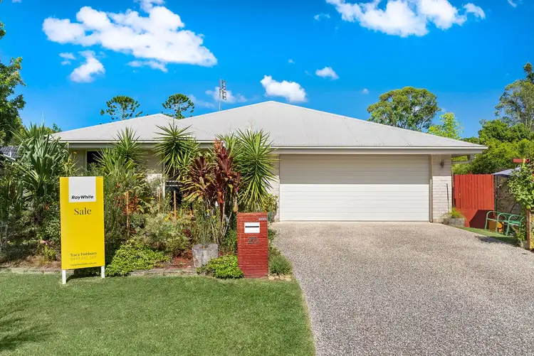 Main view of Homely house listing, 20 Maple Court, Yandina QLD 4561