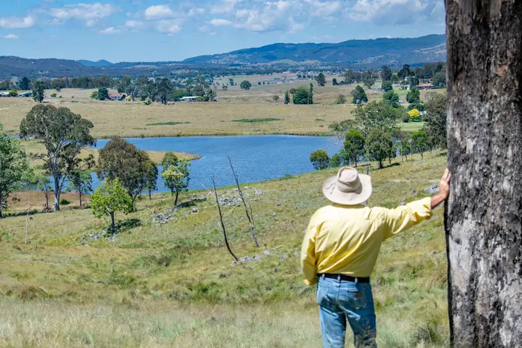 Main view of Homely rural property listing, 615 Bryans Gap Road, Tenterfield NSW 2372