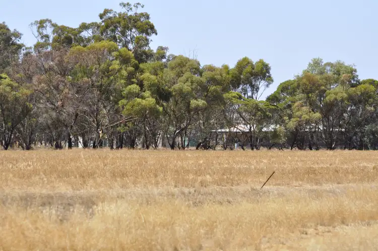 12 Newton Road, Coblinine WA 6317