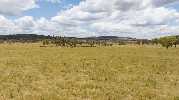 Fifth view of Homely rural property listing, 1590 Old Armidale Road, Guyra NSW 2365