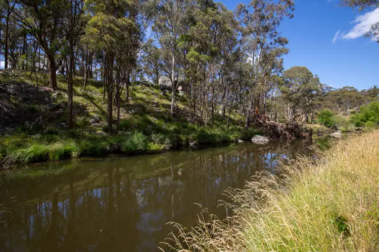 Second view of Homely rural property listing, 141 Brushy Creek Road, Brushy Creek NSW 2365