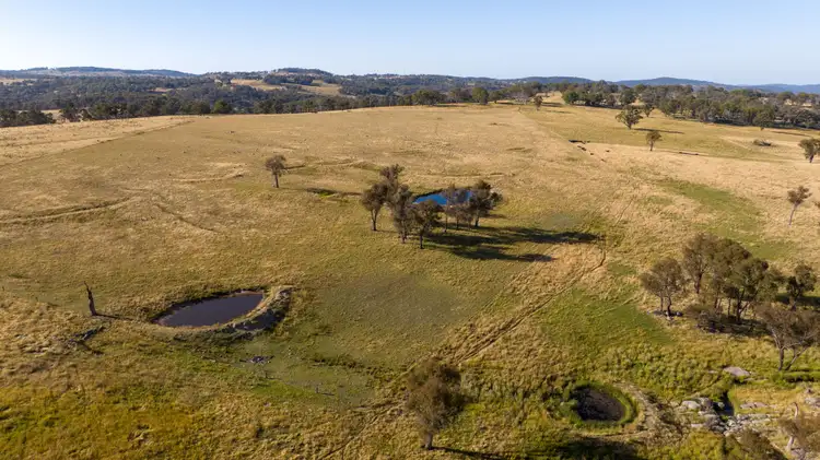 Fourth view of Homely rural property listing, 141 Brushy Creek Road, Brushy Creek NSW 2365