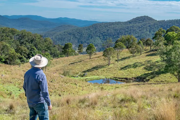 Second view of Homely rural property listing, 53 Snake Creek Road, Tenterfield NSW 2372