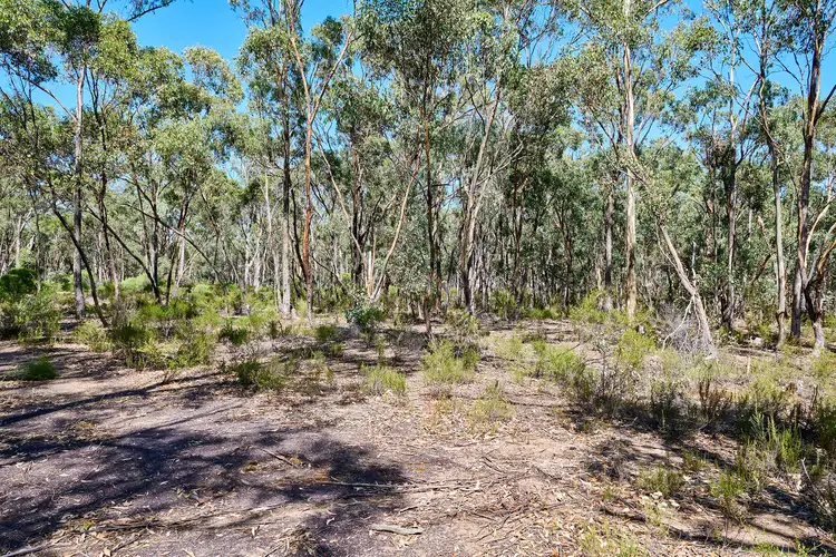 Lot 4 Dryden Road, Gobarup VIC 3559