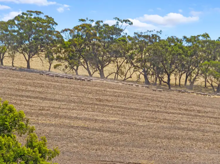 Fourth view of Homely rural property listing, 'Kemps' Salter Springs Road, Rhynie SA 5412