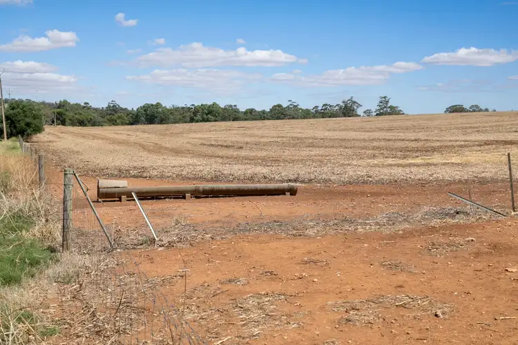 Fifth view of Homely rural property listing, 'Kemps' Salter Springs Road, Rhynie SA 5412
