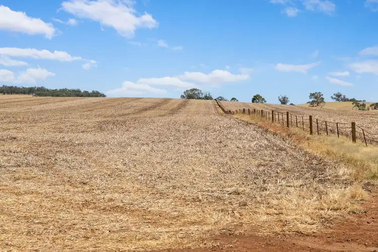 Seventh view of Homely rural property listing, 'Kemps' Salter Springs Road, Rhynie SA 5412