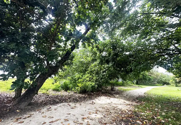 Sixth view of Homely land listing, 30 Donkin Lane, Mission Beach QLD 4852