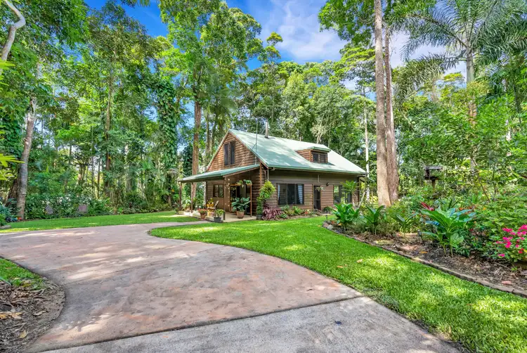 Main view of Homely house listing, 41 Butler Drive, Kuranda QLD 4881