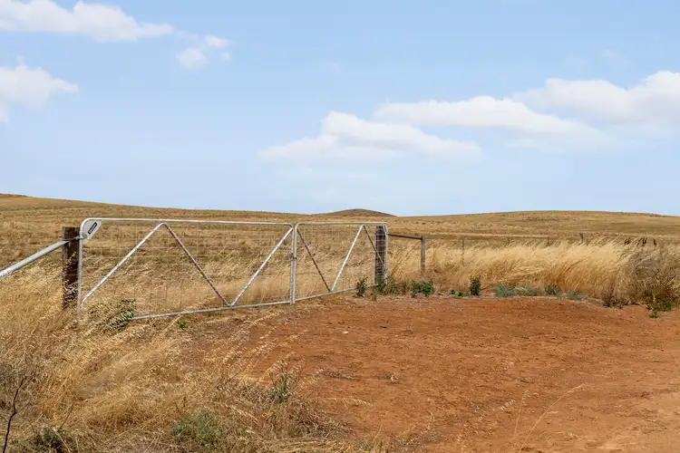 Fifth view of Homely rural property listing, 'Boxers' Ellery Road, Leighton SA 5417