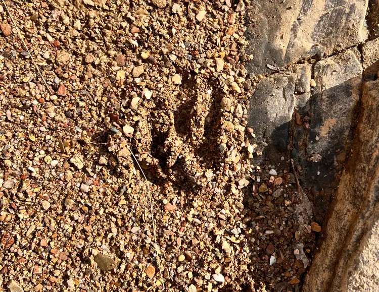 Fifth view of Homely land listing, 237 Brooks Creek Lane, Gundaroo NSW 2620