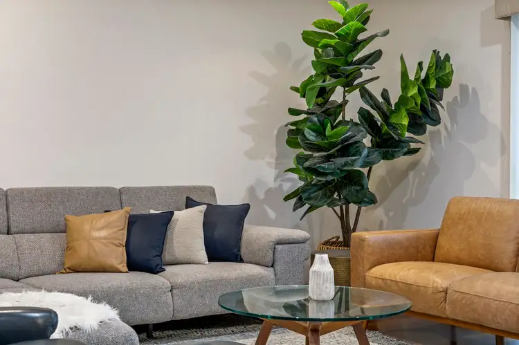 Fifth view of Homely house listing, 17 Capezzone Court, Newton SA 5074