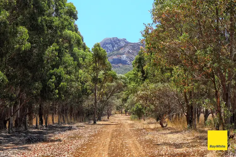 Third view of Homely rural property listing, 1104 Millinup Road, Porongurup WA 6324