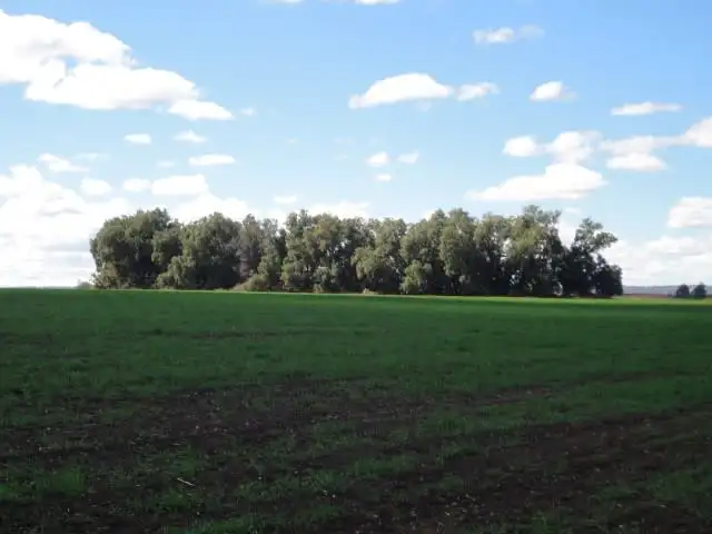 Second view of Homely rural property listing, "Lochlea" Mason Road, Bowenville QLD 4404